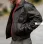 Dom Hemingway Jude Law Black Jacket