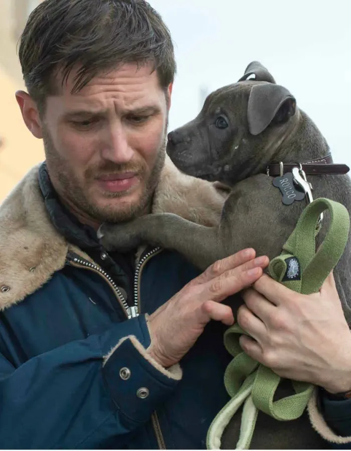 The Drop Tom Hardy (Bob Saginowski) Blue Jacket The Drop Tom Hardy (Bob Saginowski) Blue Jacket