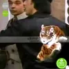 Rocky 2 Rocky Balboa Tiger Bomber Black Jacket