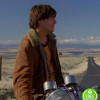 My Own Private Idaho Keanu Reeves Scott Favor Shearling Suede Leather Jacket