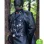 Hellboy Karl Ruprecht Kroenen Costume Jacket