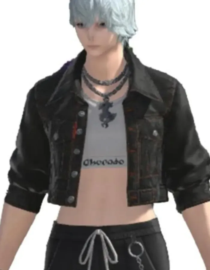Hip Street FFXIV Cropped Black Denim Jacket