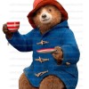 Toggle Duffle Blue Paddington Bear Coat