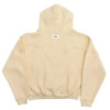 Vitriolic Pullover Hoodie