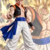 Dragon Ball Gogeta Cosplay Costume Dragon Ball Gogeta Cosplay Costume