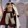 One Piece Whitebeard Captain Trench Coat