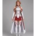 Sword Art Online Asuna Leather Dress